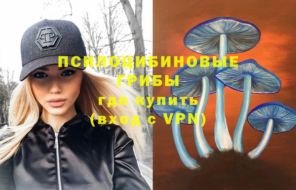хмурый Алексин
