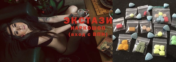 хмурый Алексин