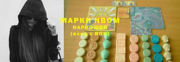 хмурый Алексин