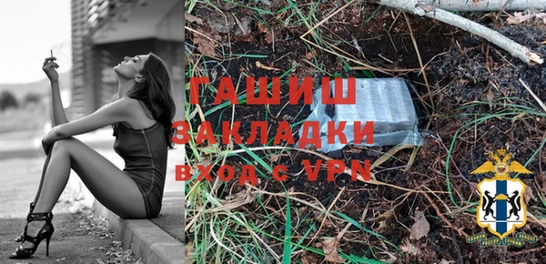 хмурый Алексин